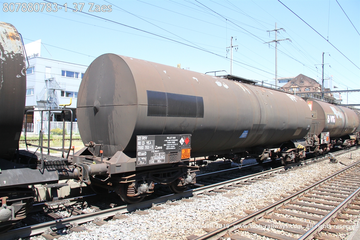 807880783-1_37 Zaes.JPG